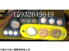 YVFR电缆YVFR电缆价格YVFR电缆执行价格