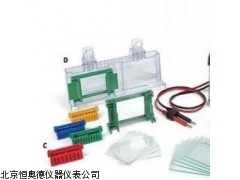 Mini-PROTEAN    山西  小型垂直电泳槽