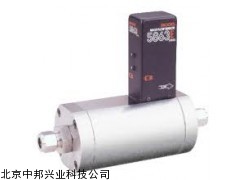 美国布鲁克斯 BROOKS5863E气体质量流量控制器流量计