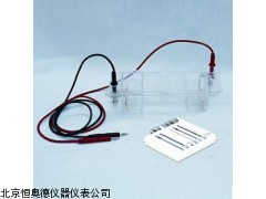 BLY-DYCP-32B   安徽  琼脂糖水平电泳槽