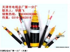 报价SYV50-2-1同轴电缆