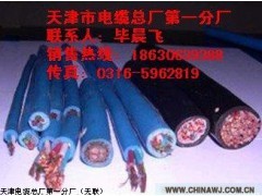 485通信电缆2*24AWG邢台