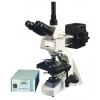 三目落射荧光显微镜BM-18AY