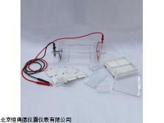 BJL/DYCP-31DN琼脂糖水平电泳仪