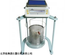 YP-DSJ-2北京电子静水力学天平