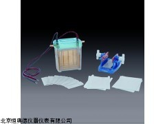 BL/DYCZ-24EN北京双垂直电泳仪