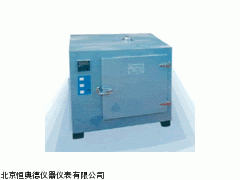ZH-101-00干燥箱厂家
