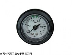 广东SMC禁油\外部无铜离子压力表,SMC压力表价格
