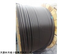供应优质电缆型号MY,MYP,,MCPTJ电缆价格(图)