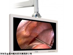 FSN26寸医疗显示器FS-P2602D