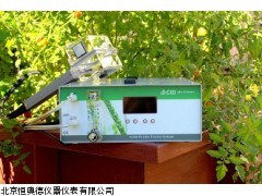 CI900 便携式乙烯气体分析仪