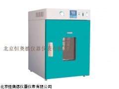 HAD-DGG-9070A立式鼓风干燥箱厂家