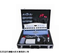 DP-310便携式果树农残检测仪,北京农残检测仪