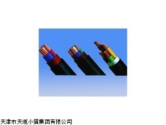 河北QXFW电缆采购批发QXFW-J行车电缆加强型