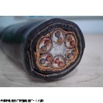 CEFR船用控制电缆3*25+2*10mm【每米】价格