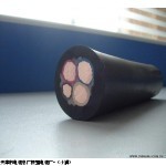 國標YC-J電纜3*6+5*1.0廠家價格