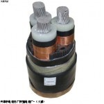 JHS深水电缆4*6价格