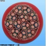橡胶电缆MY3×2.5+1×1.5 厂家