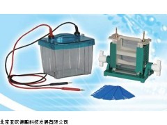 DP-25D双垂直电泳仪,厂家直销电泳槽