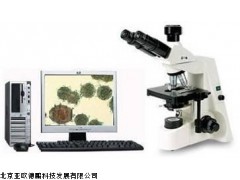 DP-460VA显微图像分析系统,北京显微图像分析系统