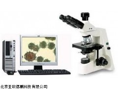 DP-460VA显微图像分析系统