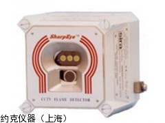 視頻IR3火焰探測(cè)器 20/20CTIN&CTIP