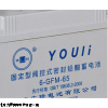 文隆蓄电池6-GFM-65/12v65ah现货批发价~包邮