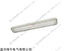 防爆荧光灯,双管荧光灯,防爆荧光灯厂家直销