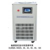 DLSB系列低溫冷卻液循環(huán)泵，觸摸型低溫冷卻液循環(huán)泵
