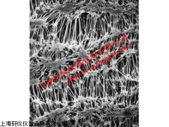 聚碳酸酯微孔濾膜,Millipore微孔濾膜,密理博表面濾膜