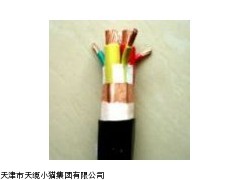 天津电缆价格/BP-VVPP2-3*35变频器专用电缆报价