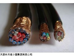 电缆价格/BPVVP2、BPVVPP2变频器专用回路电缆