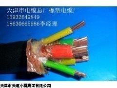 BPVVPP2变频器电缆天津小猫电线电缆ZR-BPYJVP