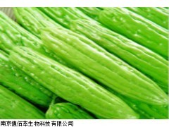 苦瓜濃縮粉/苦瓜粉/苦瓜提取物