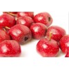山楂濃縮粉/山楂提取物/山楂粉