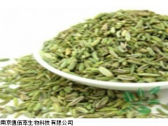 小茴香粉/ 小茴香提取物/ 小茴香濃縮粉