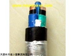 天津电缆价格咨询BPYJPVP变频电缆-BPYJPVP报价