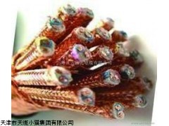 天津bpyjvp2变频器电缆