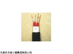 BP-YJP2VP2变频电缆是什么意思