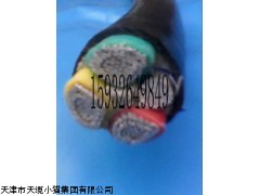 仪器交易网提供天津电缆价格BP-YJP2VP2 变频电缆