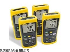 Fluke53IIB 温度计 福禄克