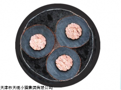 批发订购BPYJP2VP变频器电缆