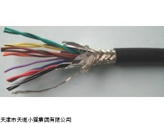 天津电缆价格/BPYJVP2P变频专用电缆