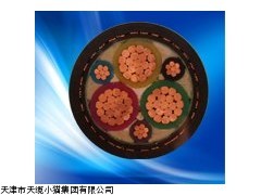 天津电缆价格/变频电缆,BPYJVP3变频器电缆