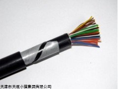 天缆集团专业生产销售BPYJVP变频电力电缆