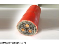 河北小猫牌变频器电缆质量好价格低BPYJP3VP