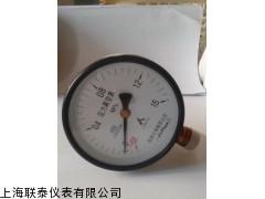 YZ100 联泰仪表普通径向真空压力表YZ100
