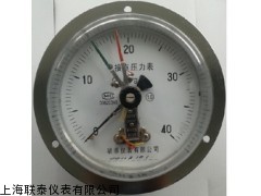 Y150ZT 联泰仪表普通轴向带边压力表Y150ZT