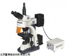 電腦型生物熒光顯微鏡GH/CFM-330Z,數(shù)碼熒光顯微鏡