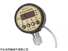數(shù)字壓力表